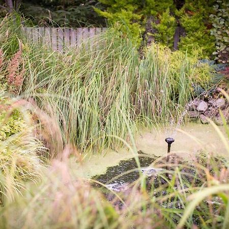 Вілла Calm Scottish Country Escape With Hot Tub Sleeps 6 Інвернесс Екстер'єр фото