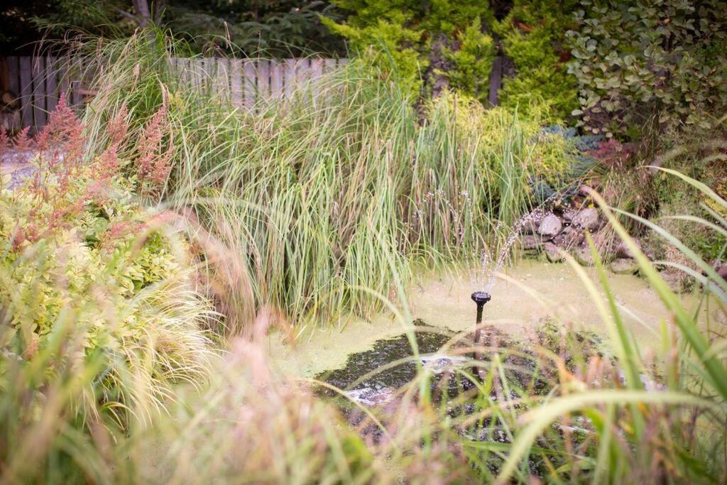 Вілла Calm Scottish Country Escape With Hot Tub Sleeps 6 Інвернесс Екстер'єр фото