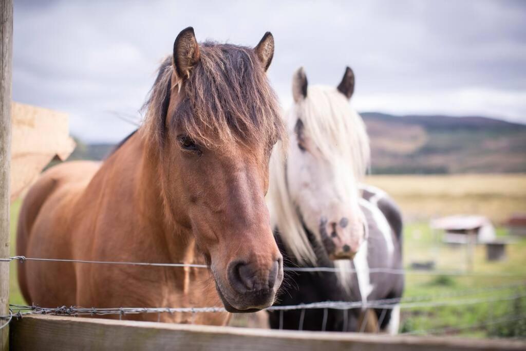 Вілла Calm Scottish Country Escape With Hot Tub Sleeps 6 Інвернесс Екстер'єр фото